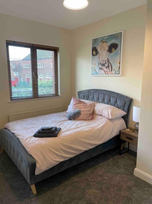 Close To Belfast City Centre.Modern Opened Planned Экстерьер фото